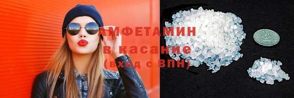 прущие грибы Богданович