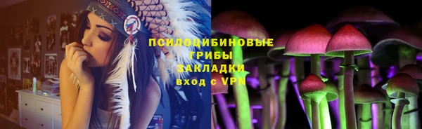 прущие грибы Богданович