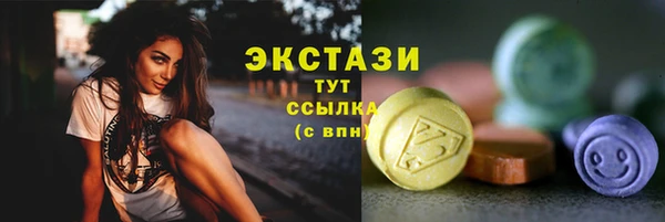 СК Богородицк
