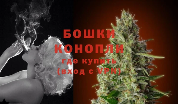 СК Богородицк