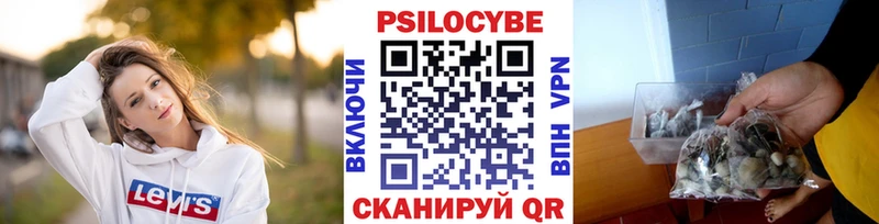 Псилоцибиновые грибы прущие грибы  Липецк 